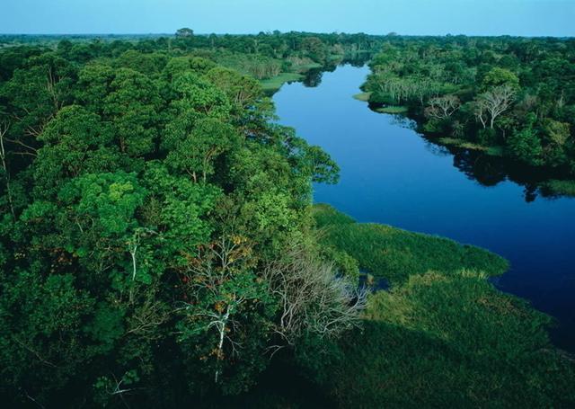 亚马逊河十大恐怖生物 看你知道几个?
